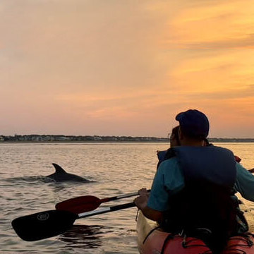 GoKayak, Guided Dolphin Sightseeing Kayak Tours, Virginia Beach, VA