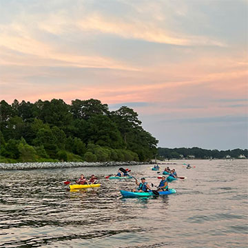 GoKayak! Paddle with a Porpoise! Virginia Beach, VA