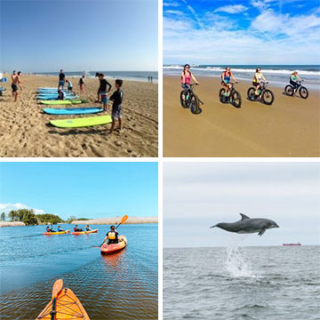 Surf & Adventure Co. Surf. Paddle. Bike. Explore. Virginia Beach, VA