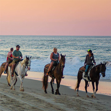 Virginia Beach OBX Horseback Riding, Visit Virginia Beach VA
