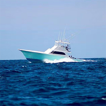 Waverunner Sport Fishing Charters, Fishing Trips Virginia Beach, VA