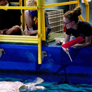 Behind-the-Scenes Tours at the Virginia Aquarium - Visit Virginia Beach