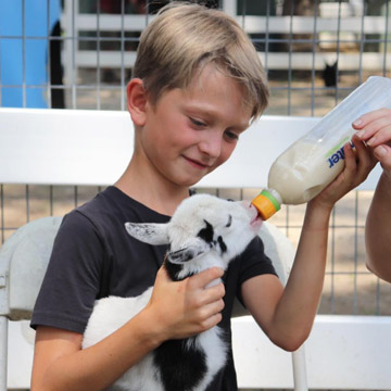 Petting Farm at Hunt Club Farm, Virginia Beach, VA